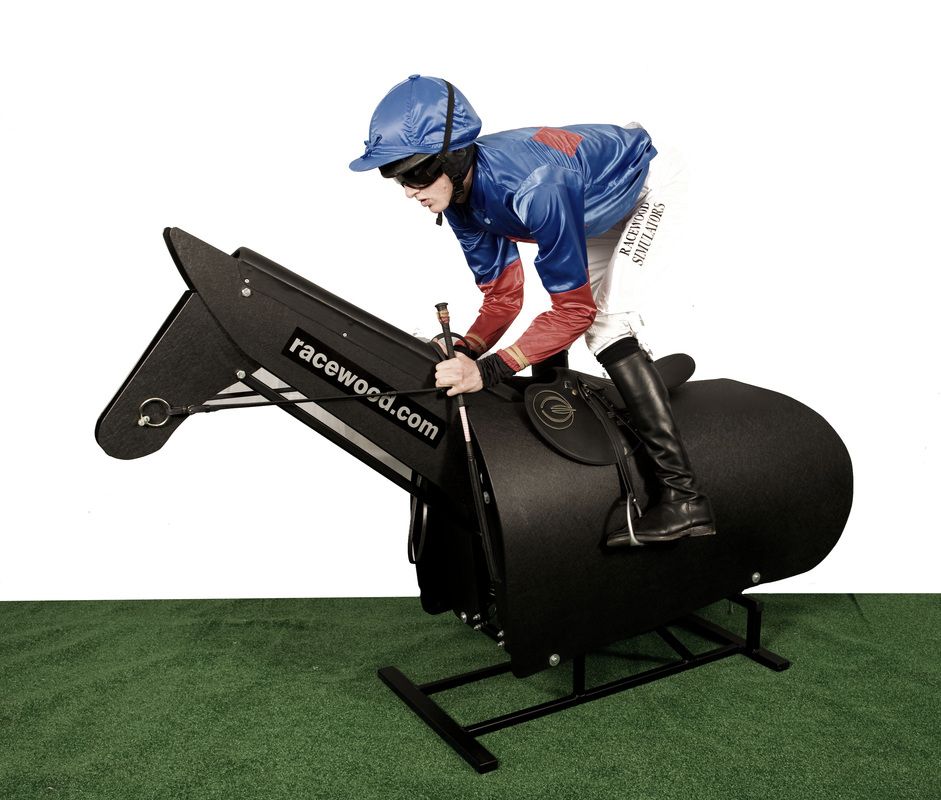 horse simulator machine
